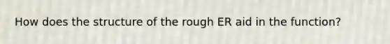 How does the structure of the rough ER aid in the function?