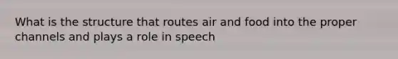 What is the structure that routes air and food into the proper channels and plays a role in speech