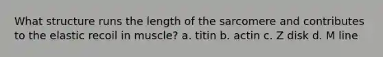 What structure runs the length of the sarcomere and contributes to the elastic recoil in muscle? a. titin b. actin c. Z disk d. M line
