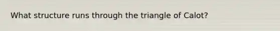 What structure runs through the triangle of Calot?