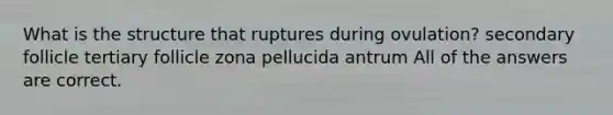 What is the structure that ruptures during ovulation? secondary follicle tertiary follicle zona pellucida antrum All of the answers are correct.