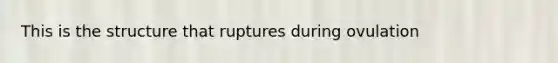 This is the structure that ruptures during ovulation