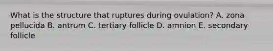 What is the structure that ruptures during ovulation? A. zona pellucida B. antrum C. tertiary follicle D. amnion E. secondary follicle