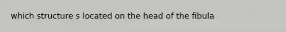 which structure s located on the head of the fibula