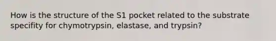 How is the structure of the S1 pocket related to the substrate specifity for chymotrypsin, elastase, and trypsin?