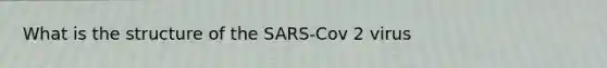 What is the structure of the SARS-Cov 2 virus