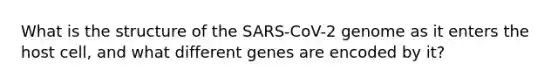 What is the structure of the SARS-CoV-2 genome as it enters the host cell, and what different genes are encoded by it?