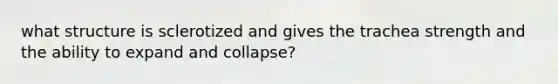 what structure is sclerotized and gives the trachea strength and the ability to expand and collapse?