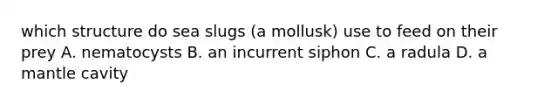 which structure do sea slugs (a mollusk) use to feed on their prey A. nematocysts B. an incurrent siphon C. a radula D. a mantle cavity