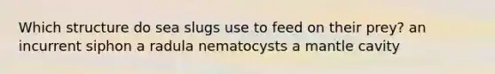 Which structure do sea slugs use to feed on their prey? an incurrent siphon a radula nematocysts a mantle cavity