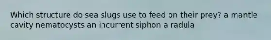 Which structure do sea slugs use to feed on their prey? a mantle cavity nematocysts an incurrent siphon a radula