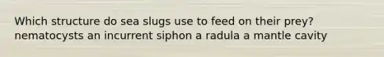 Which structure do sea slugs use to feed on their prey? nematocysts an incurrent siphon a radula a mantle cavity