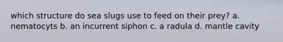 which structure do sea slugs use to feed on their prey? a. nematocyts b. an incurrent siphon c. a radula d. mantle cavity