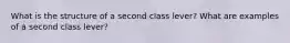 What is the structure of a second class lever? What are examples of a second class lever?