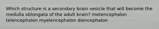 Which structure is a secondary brain vesicle that will become the medulla oblongata of the adult brain? metencephalon telencephalon myelencephalon diencephalon