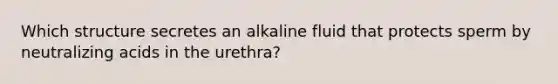 Which structure secretes an alkaline fluid that protects sperm by neutralizing acids in the urethra?