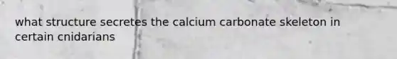 what structure secretes the calcium carbonate skeleton in certain cnidarians