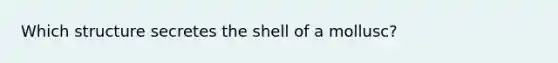 Which structure secretes the shell of a mollusc?