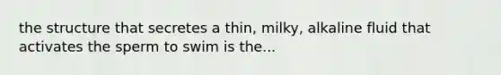 the structure that secretes a thin, milky, alkaline fluid that activates the sperm to swim is the...