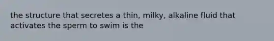 the structure that secretes a thin, milky, alkaline fluid that activates the sperm to swim is the