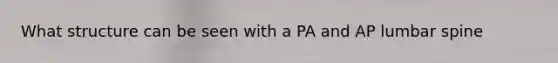 What structure can be seen with a PA and AP lumbar spine