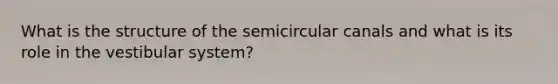 What is the structure of the semicircular canals and what is its role in the vestibular system?