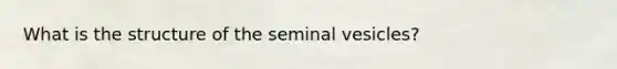 What is the structure of the seminal vesicles?