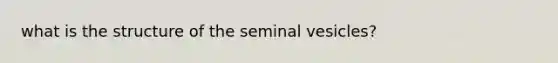 what is the structure of the seminal vesicles?