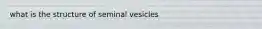 what is the structure of seminal vesicles