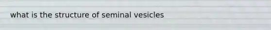 what is the structure of seminal vesicles