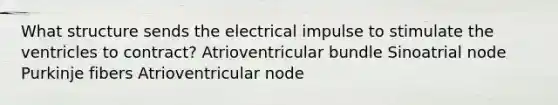 What structure sends the electrical impulse to stimulate the ventricles to contract? Atrioventricular bundle Sinoatrial node Purkinje fibers Atrioventricular node