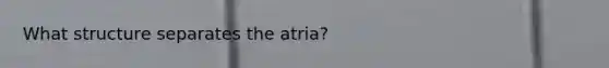 What structure separates the atria?