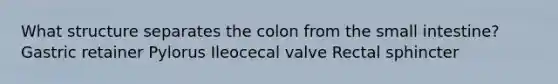 What structure separates the colon from the small intestine? Gastric retainer Pylorus Ileocecal valve Rectal sphincter