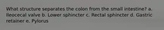 What structure separates the colon from the small intestine? a. Ileocecal valve b. Lower sphincter c. Rectal sphincter d. Gastric retainer e. Pylorus