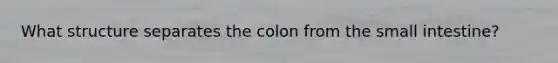 ​What structure separates the colon from the small intestine?