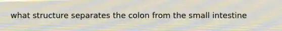 what structure separates the colon from the small intestine