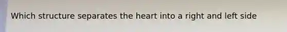 Which structure separates the heart into a right and left side