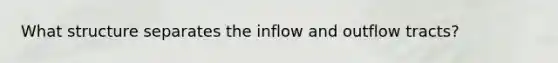 What structure separates the inflow and outflow tracts?