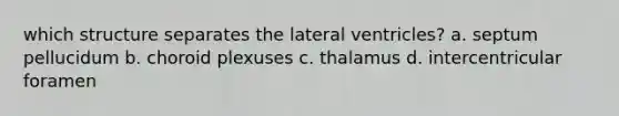 which structure separates the lateral ventricles? a. septum pellucidum b. choroid plexuses c. thalamus d. intercentricular foramen