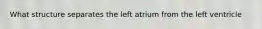 What structure separates the left atrium from the left ventricle