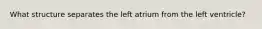 What structure separates the left atrium from the left ventricle?