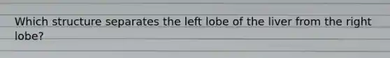 Which structure separates the left lobe of the liver from the right lobe?