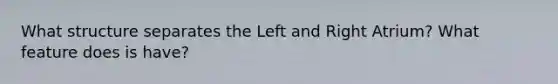 What structure separates the Left and Right Atrium? What feature does is have?