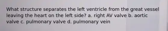 What structure separates the left ventricle from the great vessel leaving the heart on the left side? a. right AV valve b. aortic valve c. pulmonary valve d. pulmonary vein