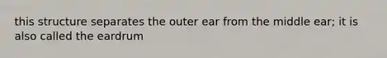 this structure separates the outer ear from the middle ear; it is also called the eardrum