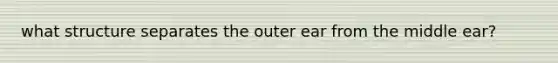 what structure separates the outer ear from the middle ear?