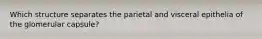 Which structure separates the parietal and visceral epithelia of the glomerular capsule?