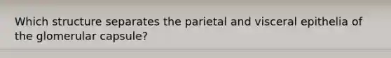 Which structure separates the parietal and visceral epithelia of the glomerular capsule?