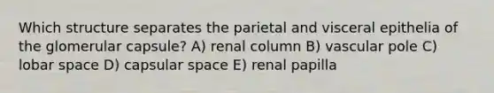 Which structure separates the parietal and visceral epithelia of the glomerular capsule? A) renal column B) vascular pole C) lobar space D) capsular space E) renal papilla