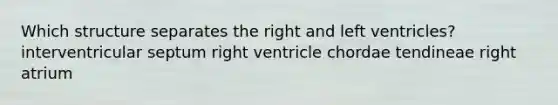 Which structure separates the right and left ventricles? interventricular septum right ventricle chordae tendineae right atrium